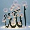 user3501879771375