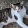 notolov_