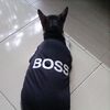 yanti.santoso3