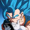 vegetto.2