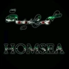 homsea991