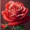 alain88827