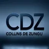 collins.de.zungu