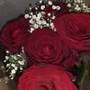 savya230