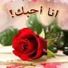 ertyh273