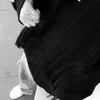 ailin_goat