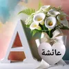 aisha.aisha359