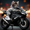 ktok.com73