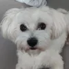 krystiankz_