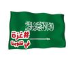 mohammed_ben_rashed