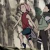 p.t.sakura