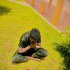 nasser.max53