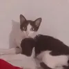 meobeoxinhdep_