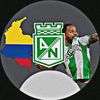 solo_verde1947