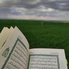 le6_quran