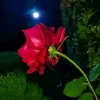 asmot.hossain6