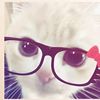 nadia.shena7