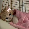 idang_710
