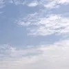 のの