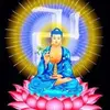 anhuynh8443