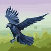 muhammad.naeem9709