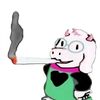 freddydfazzballs