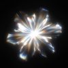 meso.007