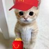 cutiepie3963