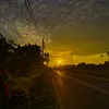 tranphiad