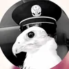 hhh_mm4