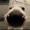 phoemsup_011