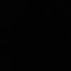 baran_p10