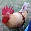 danielmartinez9750