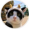 ipin_3211