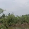 xianguyen16