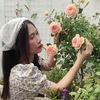 moenguyen93