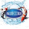 bluecore.id