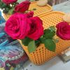 jannat94519