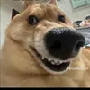 to90510