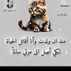 ahmad.houssin8