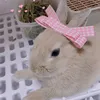 rabbitmel