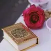user9369701339606