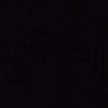 quintus_h