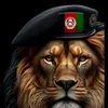 noorshah035