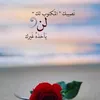 user2081694711203