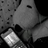 ailyn9335