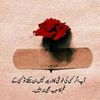gulzar.khan996