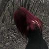 z1.5_l