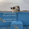 abd_..6