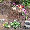 my_first_garden